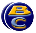 BASAURICOMERCIAL.com